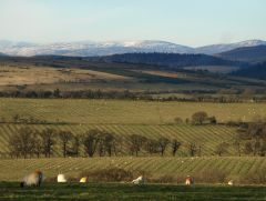 More information about "View of Simonside Hills"