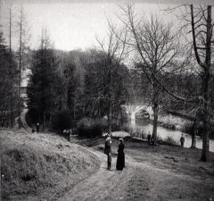 Plessey Woods 1910