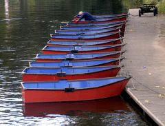 Morpeth Boats
