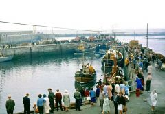 Seahouses harbour, 1965