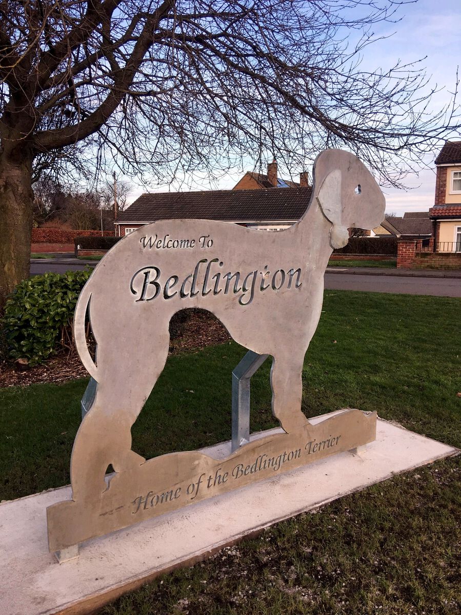 Bedlington Gateway Features
