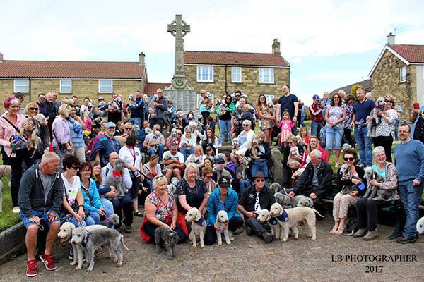 Bedlington Terrier Gathering 2018