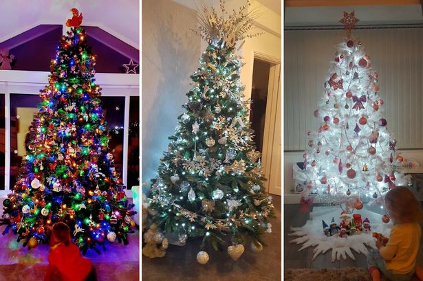 More information about "Top 20 readers' Christmas trees in Newcastle & the North East - voted for by you"