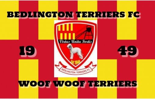 More information about "Bedlington Terriers FC"