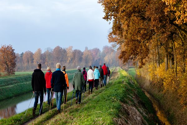 More information about "Walk your way to  health and happiness with new group walks"