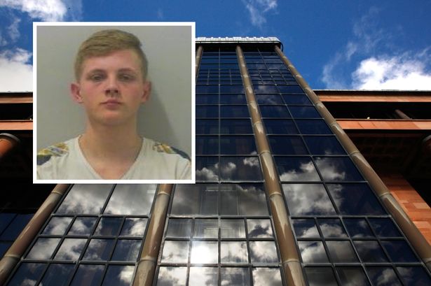 More information about "This baby-faced road menace is finally behind bars after crashing while banned from the roads"