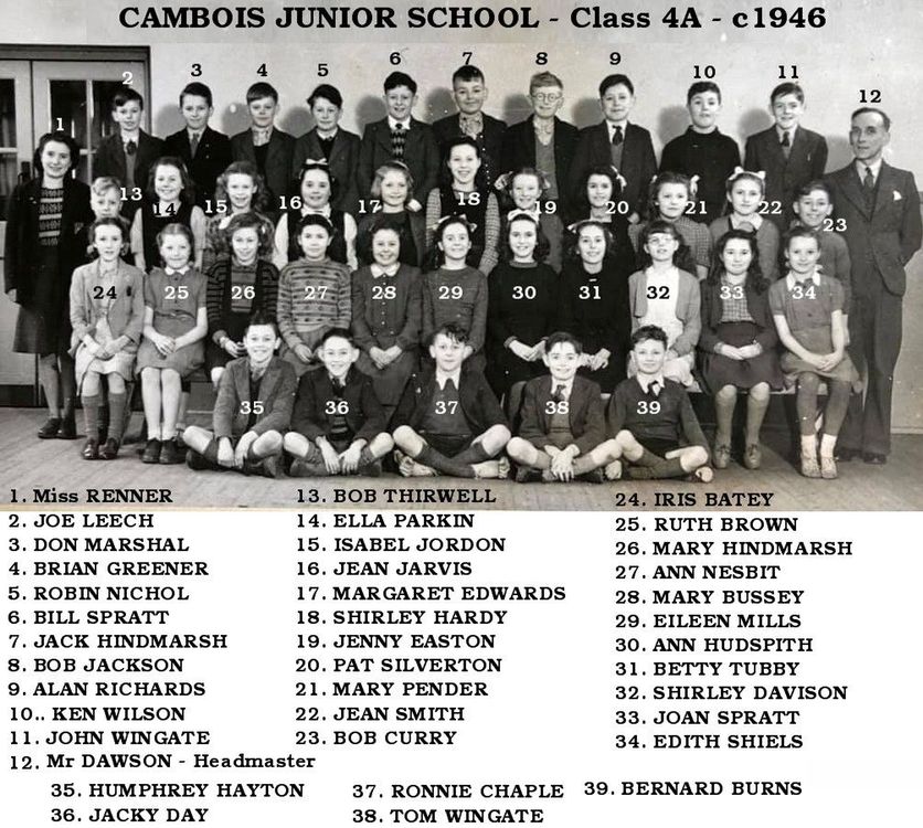 1946c named Cambois Junior.jpg