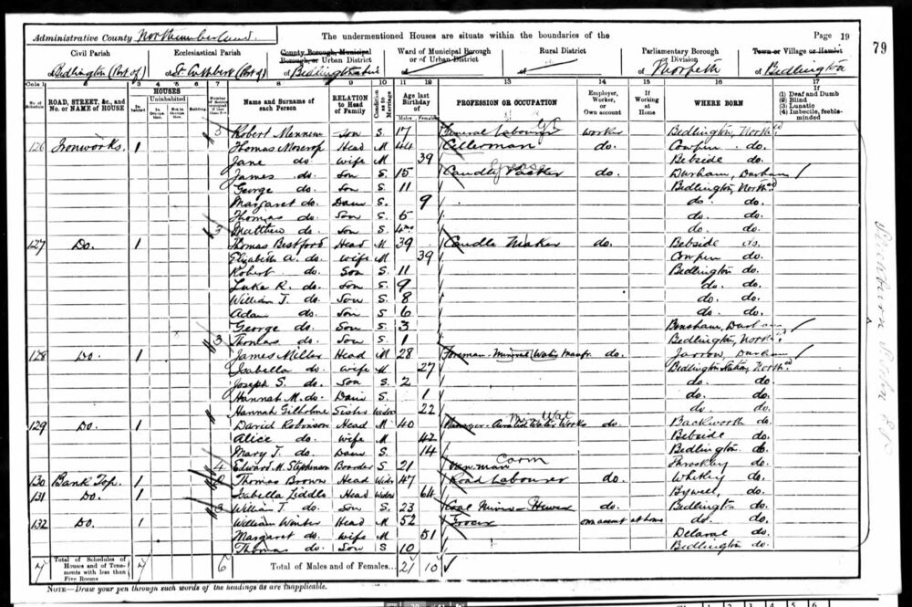 1901 census.jpg